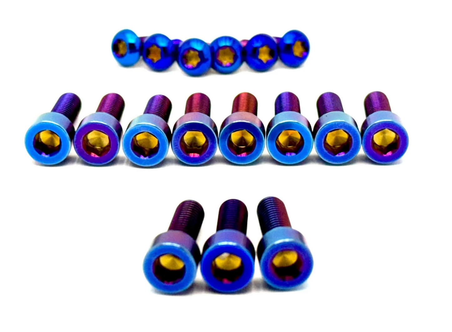 Titanium Bolt Kit for E-Ride Pro SR and Pro SS 3.0 Factory FastAce Fork (ALX32RC)(Set of 17)